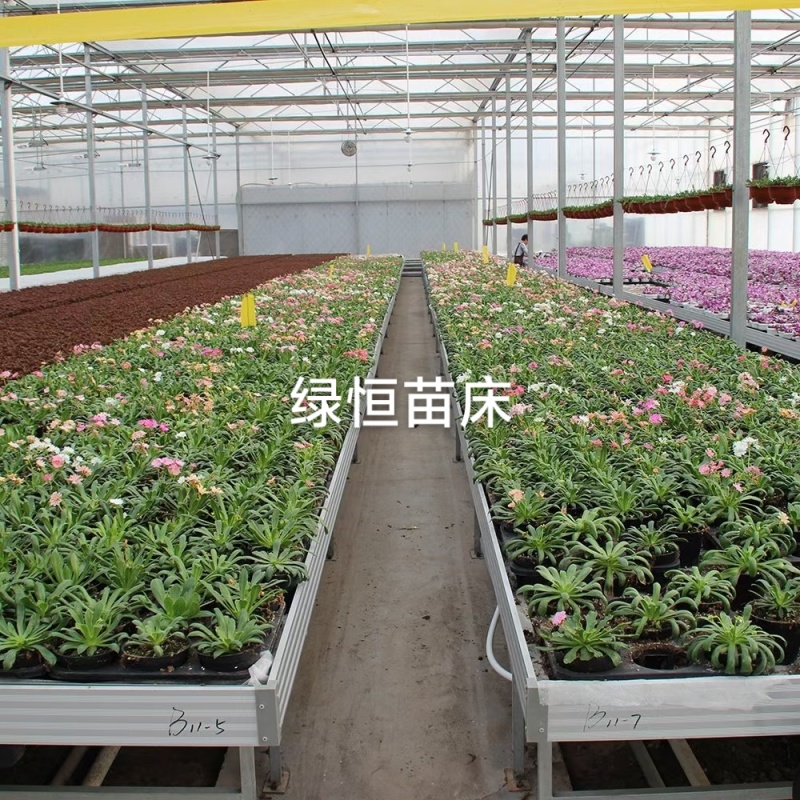 专业生产大棚移动苗床、潮汐苗床、育苗床热镀锌材质耐腐蚀