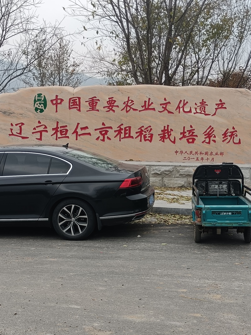 桓仁三道河子村，稻花香大米