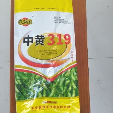大豆种子