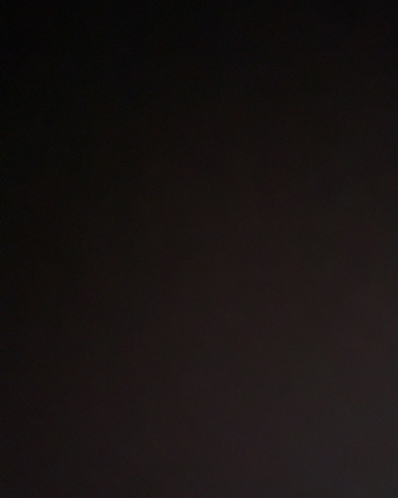 刺梨干