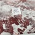 精品高原牦牛肉4分体。