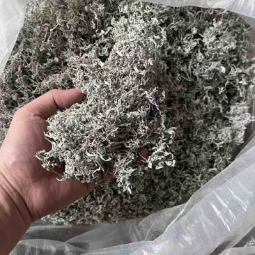 湖南张家界高山霉茶，自家养殖