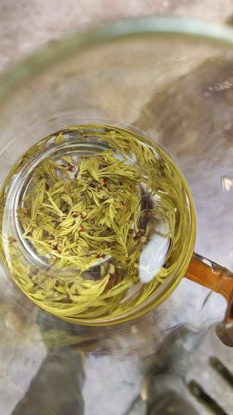 湖南张家界高山霉茶，自家养殖