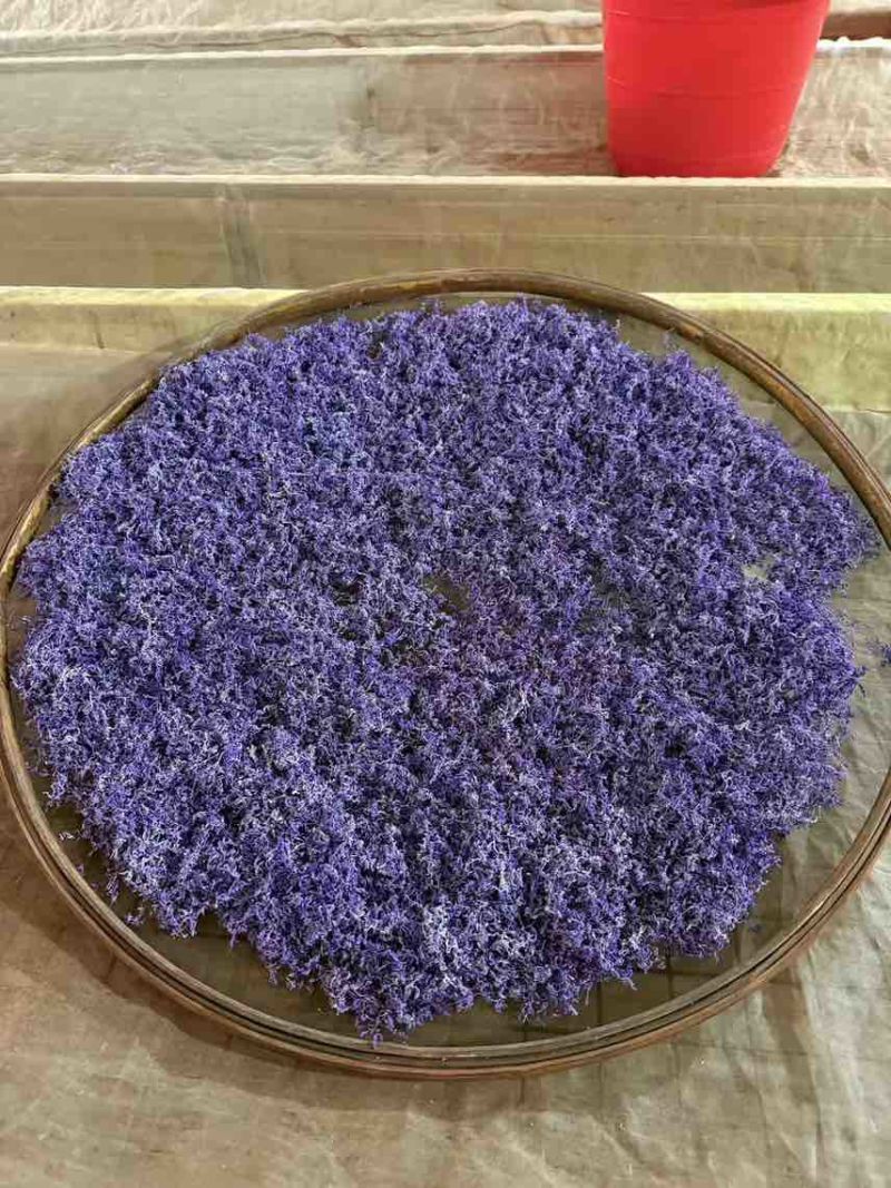 湖南张家界高山霉茶，自家养殖
