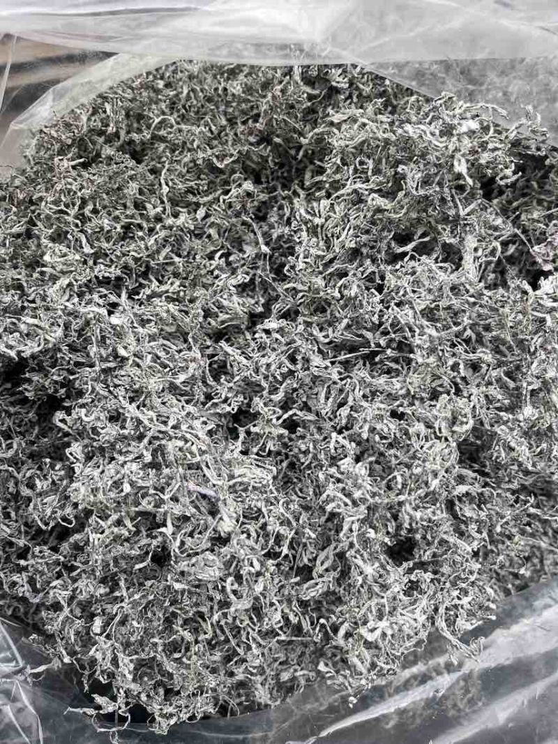 湖南张家界高山霉茶，自家养殖