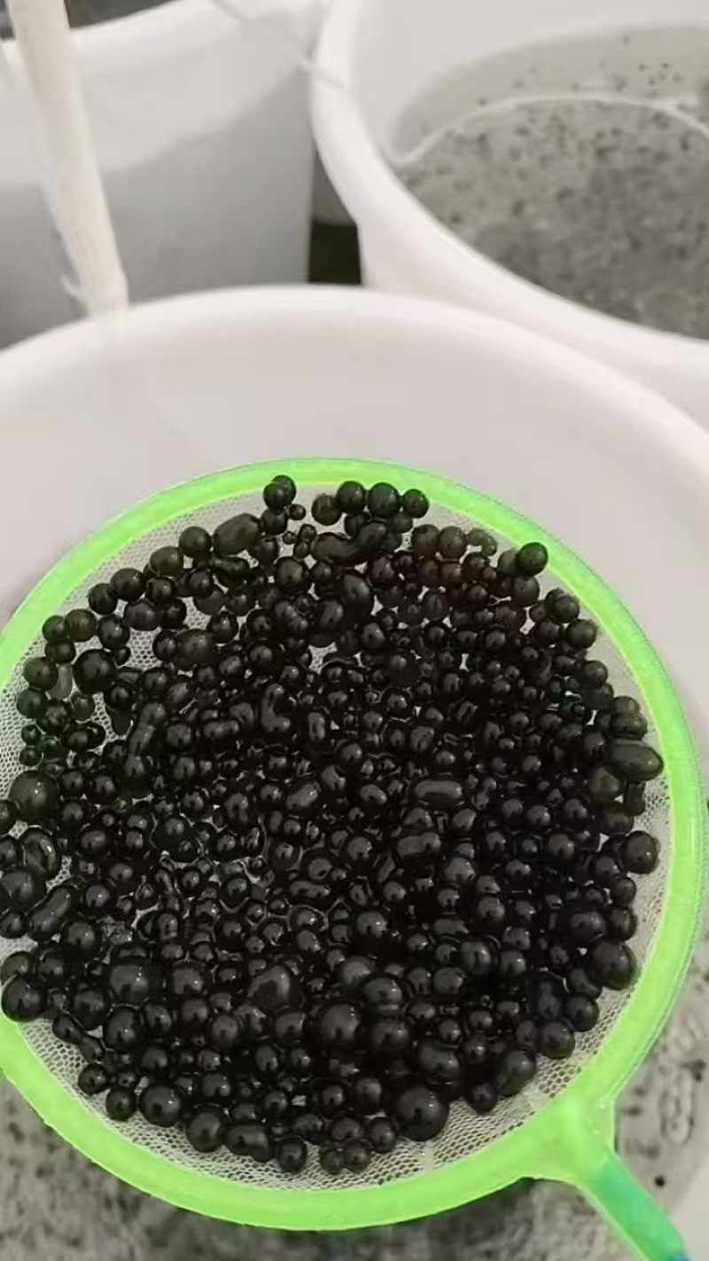 葛仙米