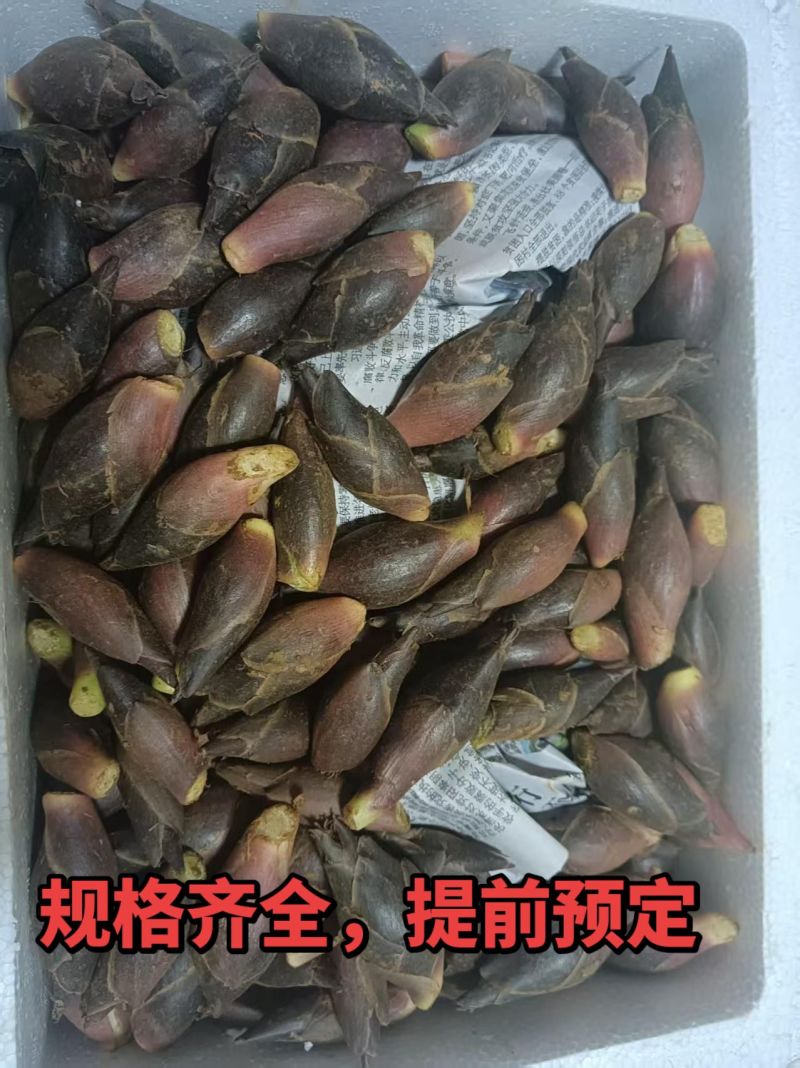 规格齐全