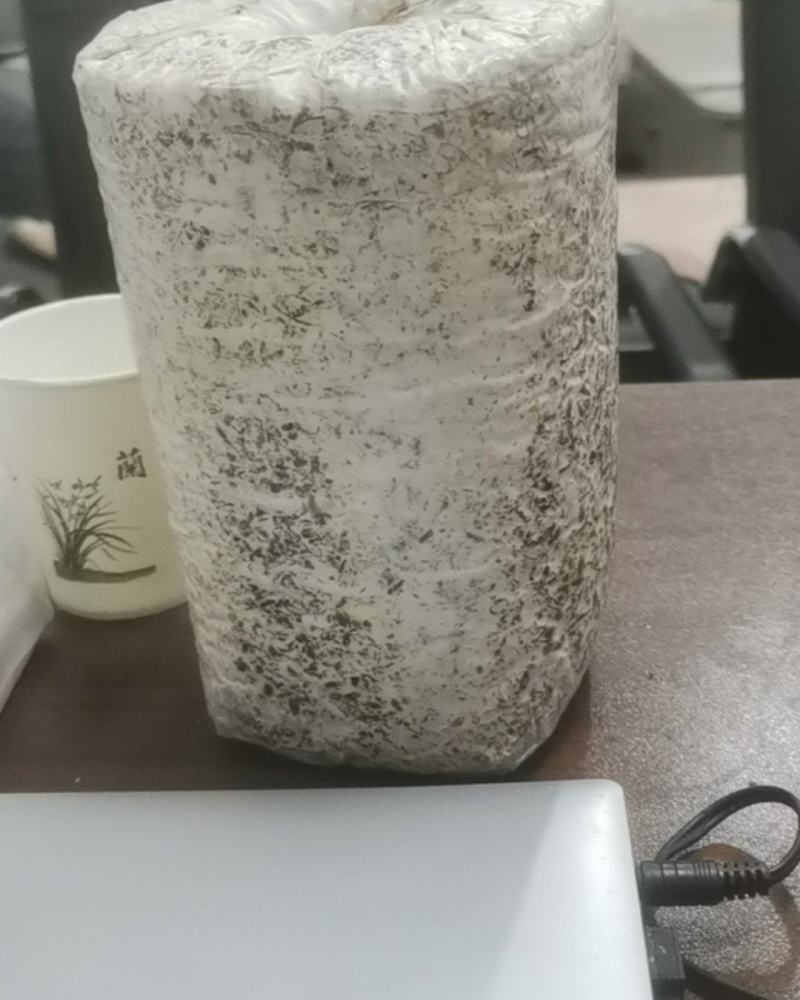 羊肚菌菌包