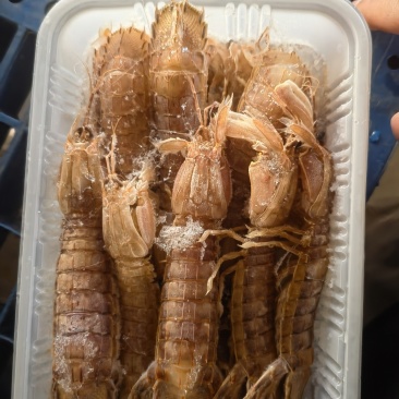 熟冻，大公