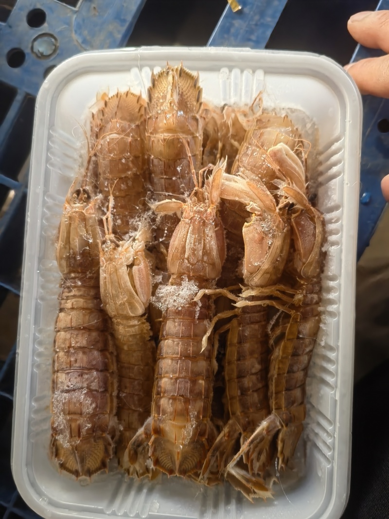 熟冻，大公