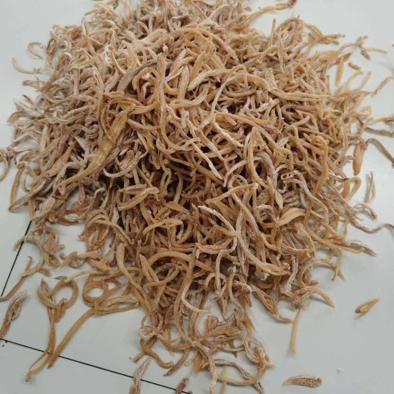海蚌丝象拔蚌丝酒店宴会批发量大价优