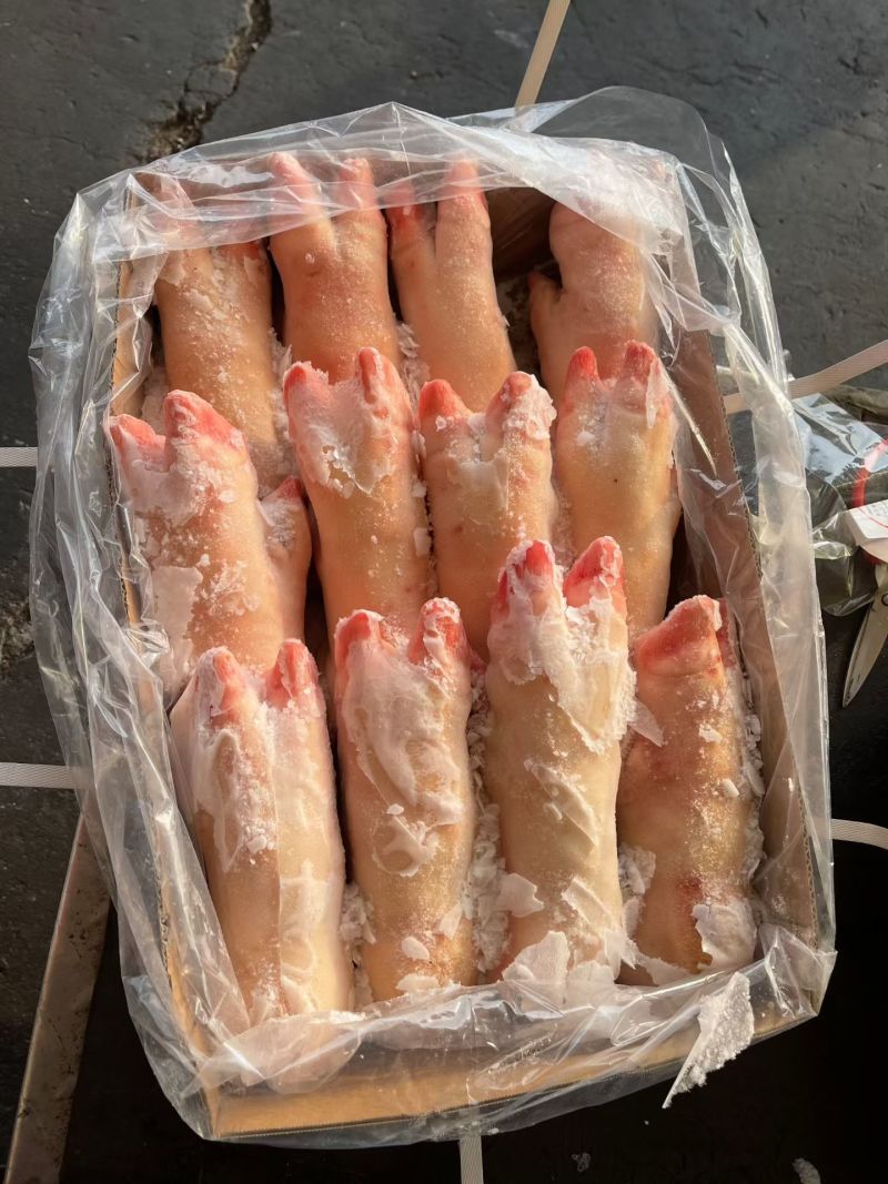 母猪蹄