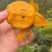 高山露天枇杷