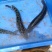 卖黑色，福建周边县城