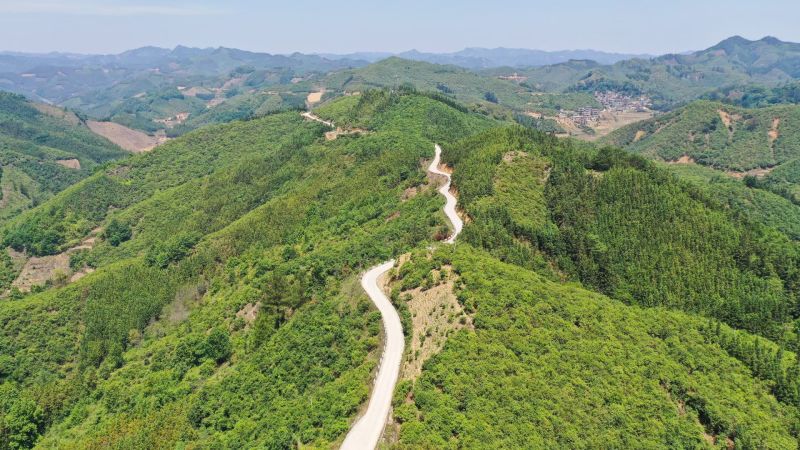 农家自榨茶油，物理冷榨