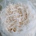 长期供应湖北高含量正品小通草，筛选过量大量小可以私信我！