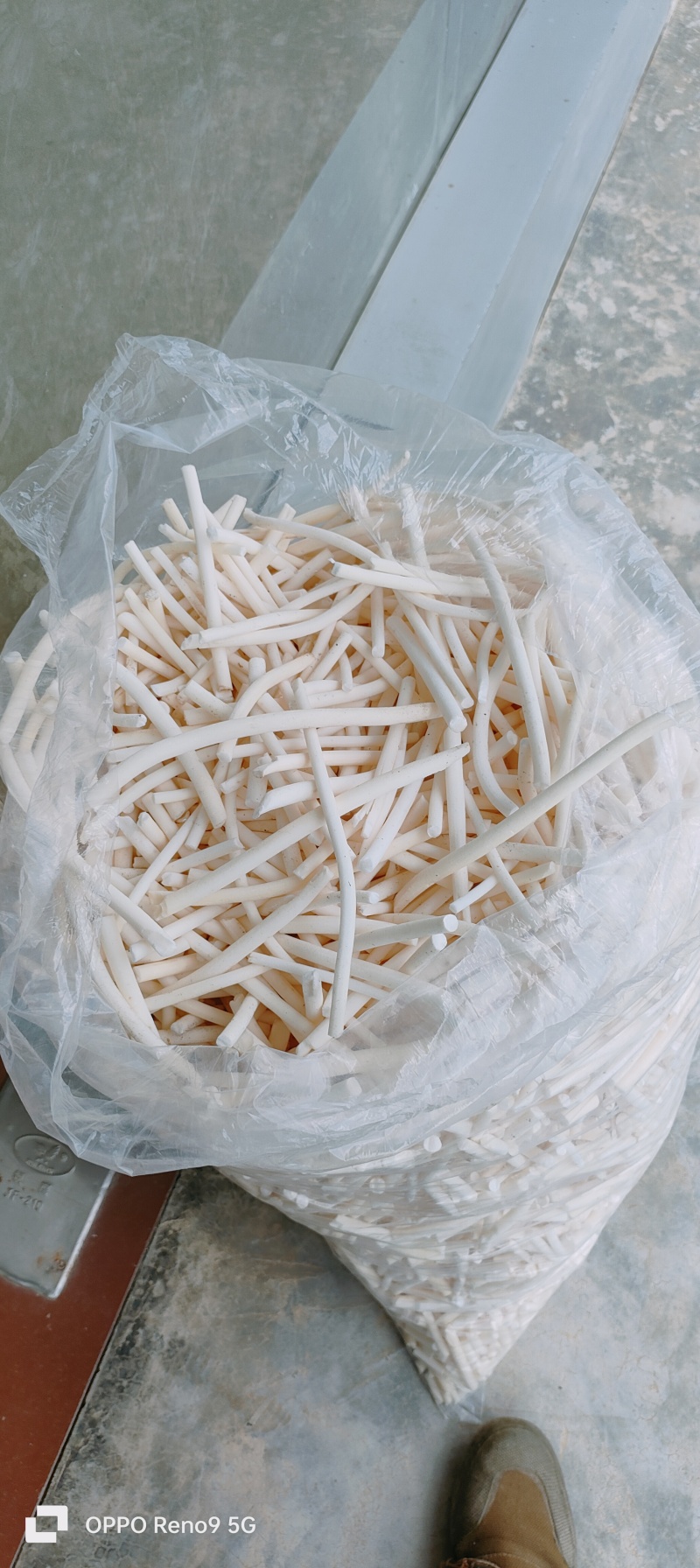 长期供应湖北高含量正品小通草，筛选过量大量小可以私信我！