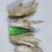 凤爪【精选熟凤爪】适用于工厂卤菜店商超地摊