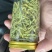 金银花（北花一号）干花