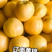 辽南黄桃