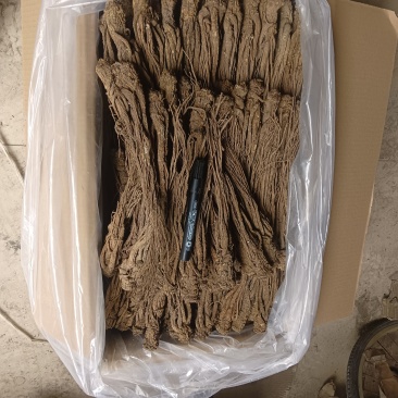 甘肃岷县当归
