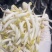 胖豆芽发全国