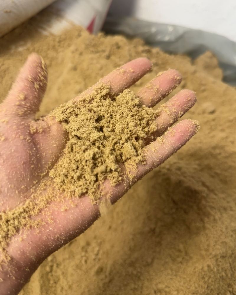 发酵玉米面