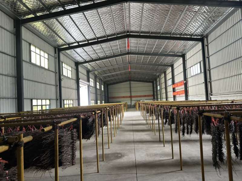 金蝉种苗、活蚁苗孵化基地金蝉活体幼苗成活率高技术指导