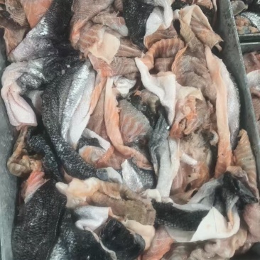 三文鱼皮