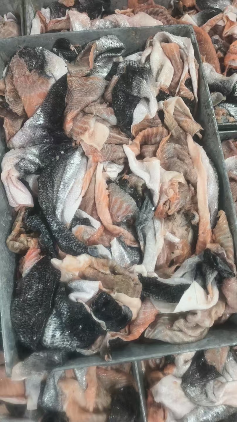 三文鱼皮