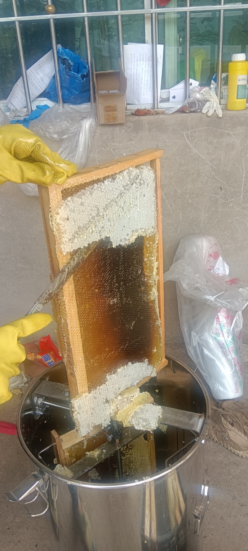 正宗蜂蜜