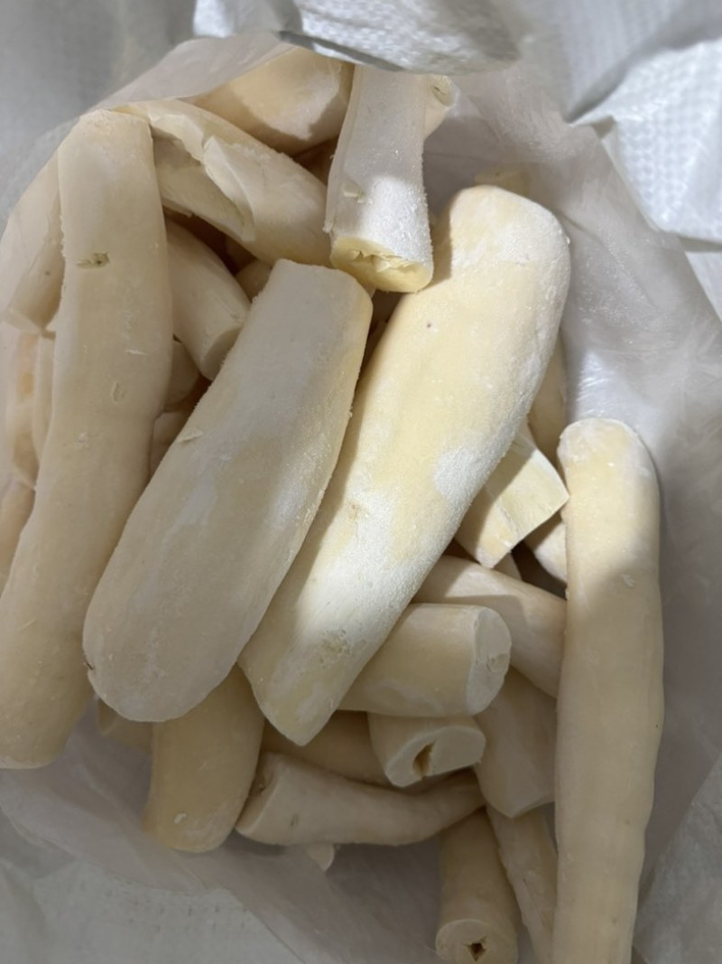 华南九号黄心木薯
