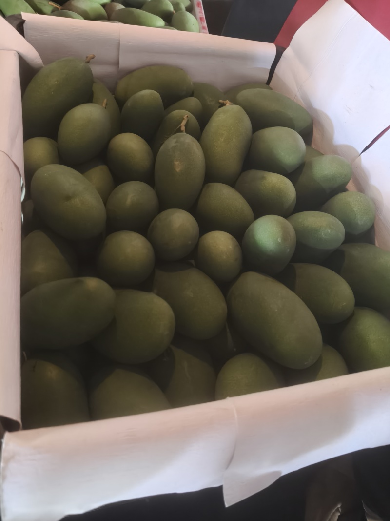 西双版纳大青芒，软糯多汁，热带本味