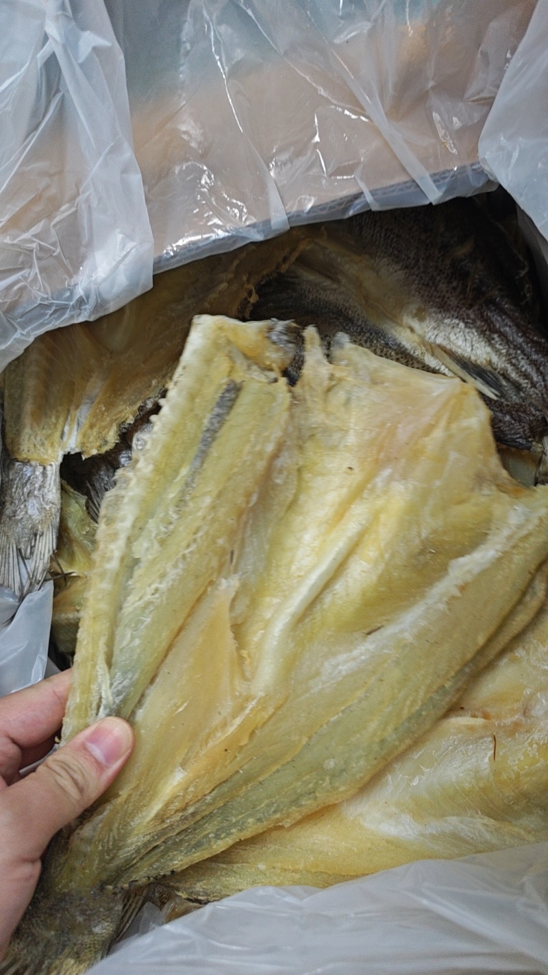 无头海鲈鱼干海鲈鱼片去头鲈鱼干鱼干
