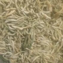 金银花