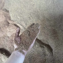 核桃粉育肥快高脂肪喂家禽牛羊**好东西