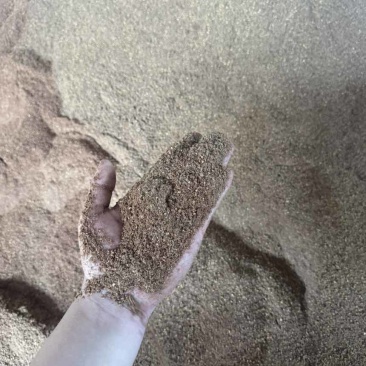 核桃粉育肥快高脂肪喂家禽牛羊**好东西