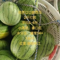 嘉秀6号，口感很脆很甜，皮薄肉厚