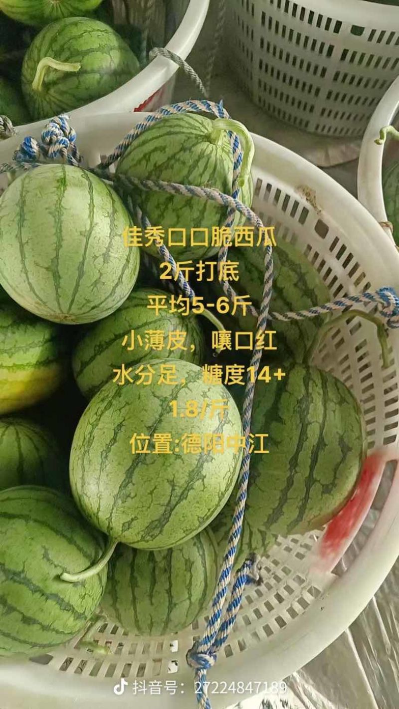 嘉秀6号，口感很脆很甜，皮薄肉厚