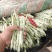 芸豆大掉价