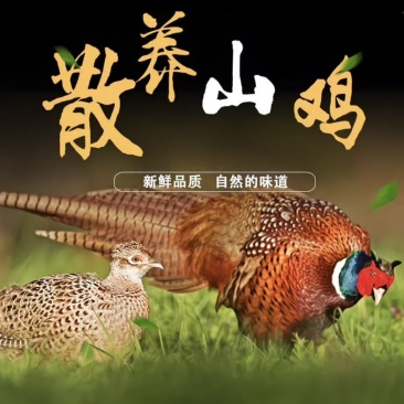二级品，白条，断腿淤血