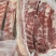 带皮五花肉条做把子肉合适