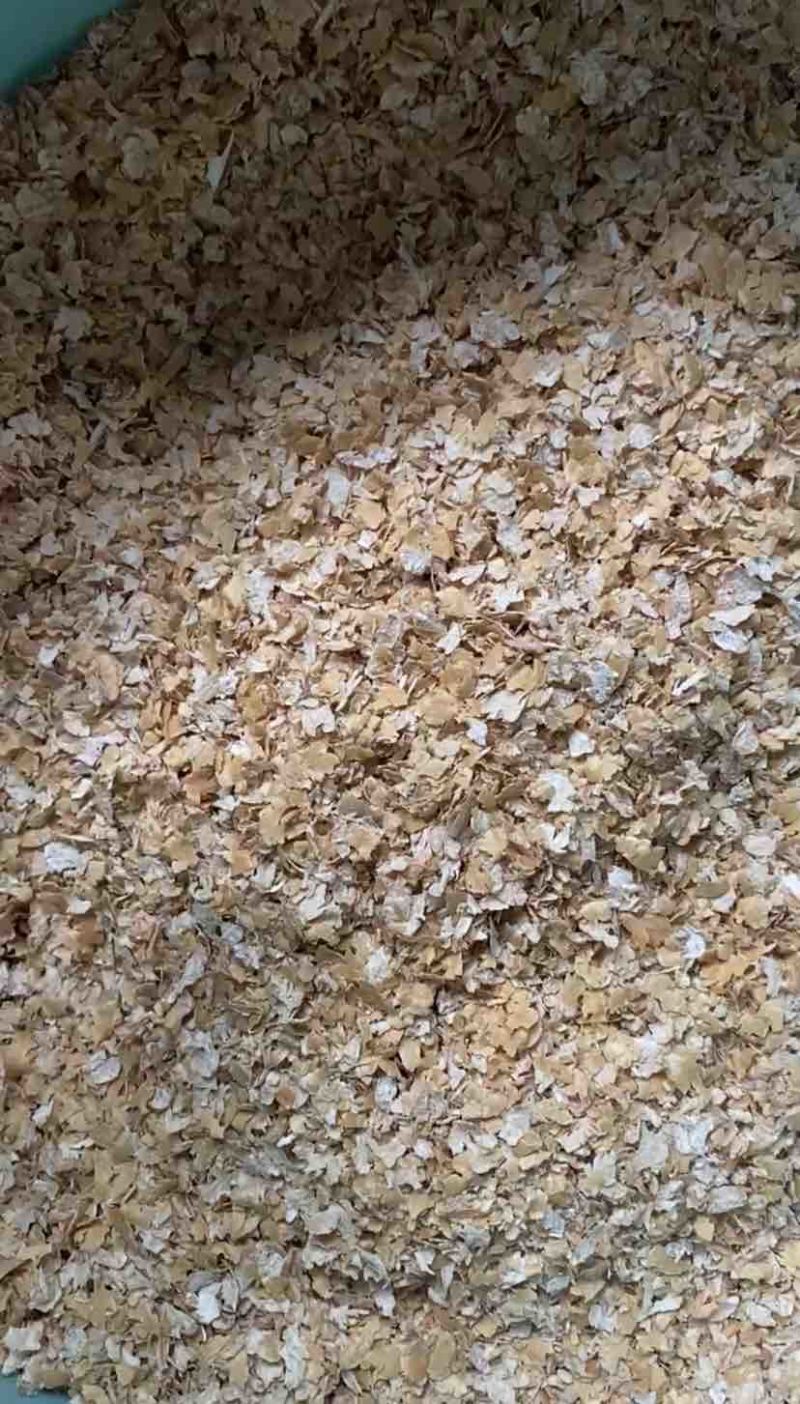 长期供应大片麦麸麸皮，养殖适用，营养丰富蛋白高预混料无杂质！