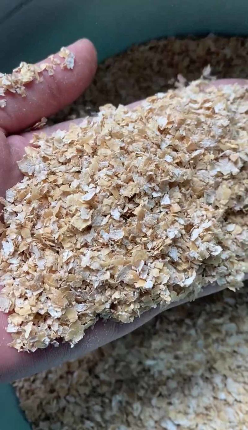 长期供应大片麦麸麸皮，养殖适用，营养丰富蛋白高预混料无杂质！