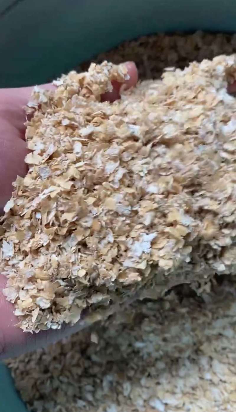 长期供应大片麦麸麸皮，养殖适用，营养丰富蛋白高预混料无杂质！