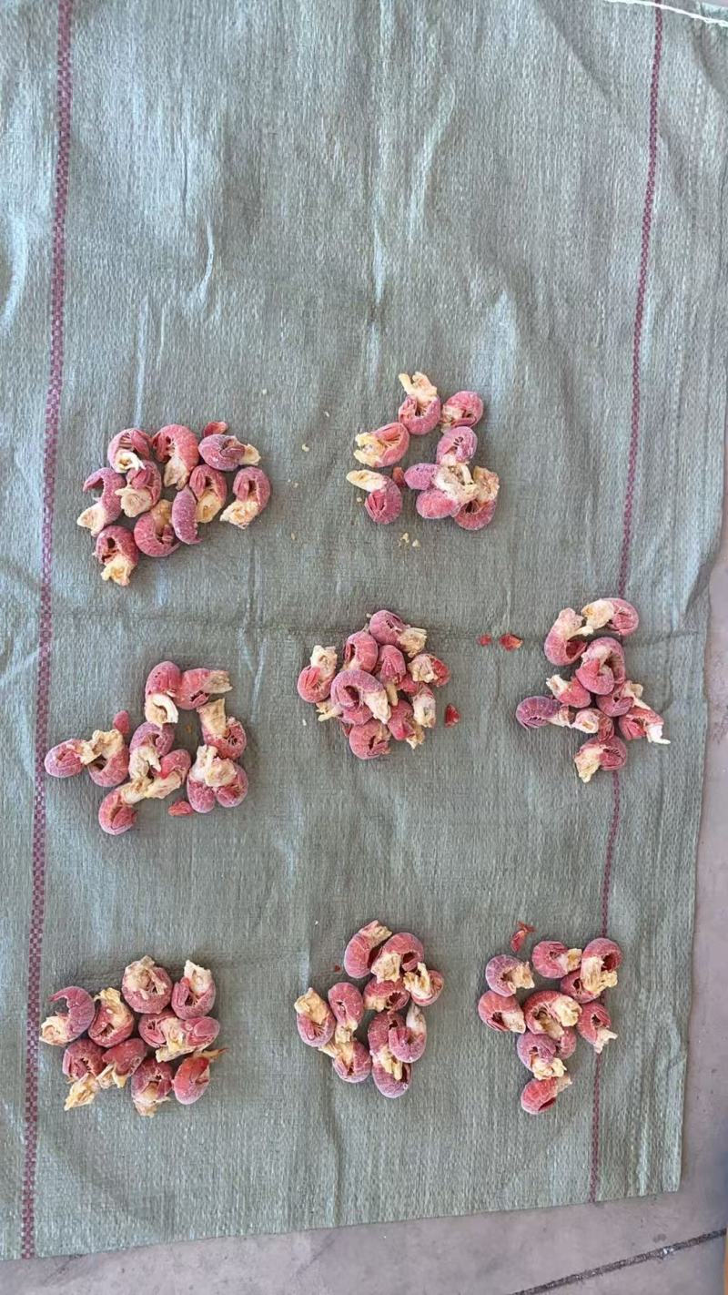 干冰龙虾尾，龙虾尾，