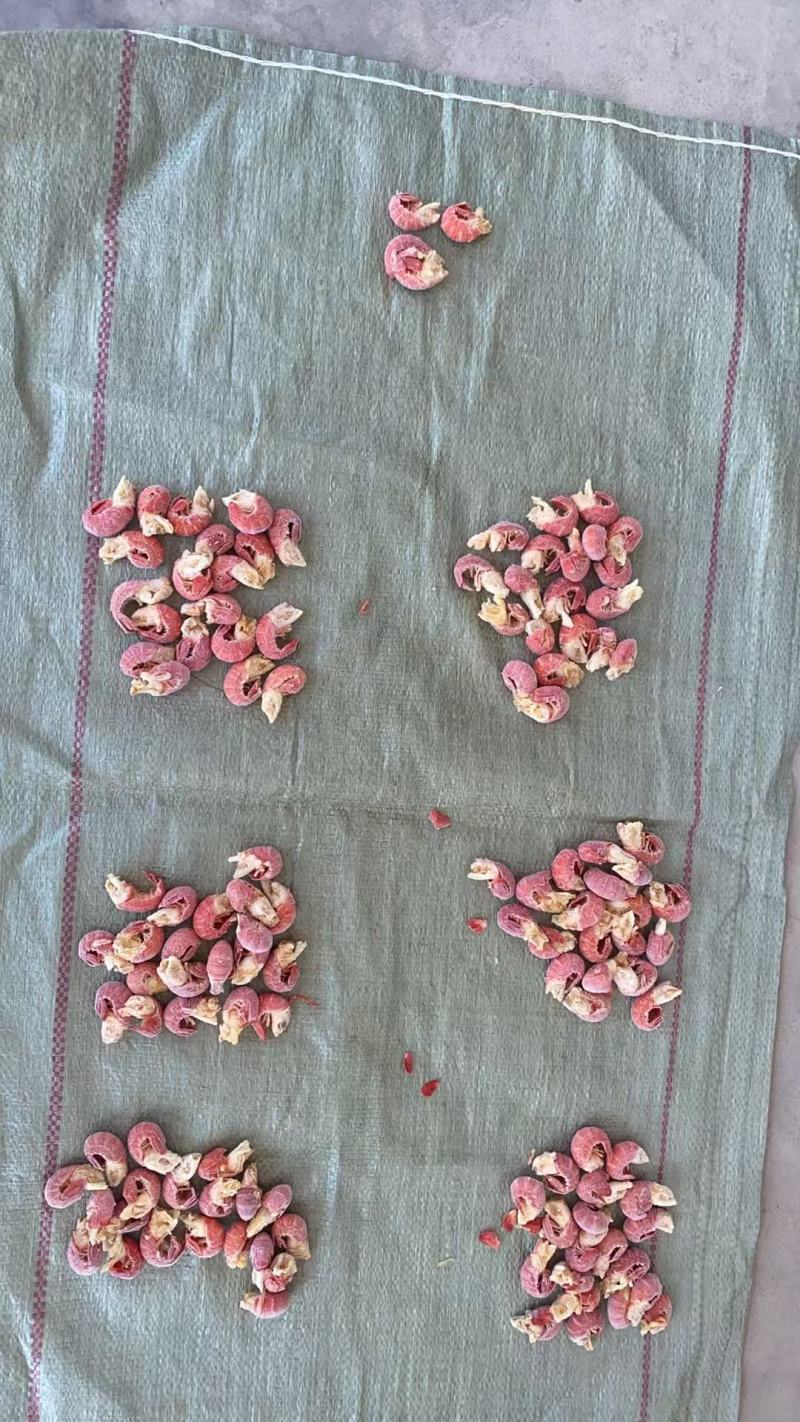 干冰龙虾尾，龙虾尾，