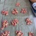 干冰龙虾尾，龙虾尾，