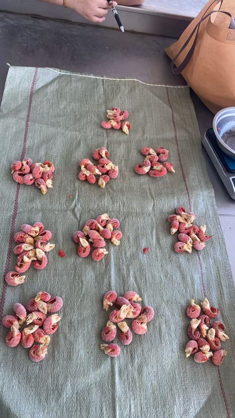 干冰龙虾尾，龙虾尾，