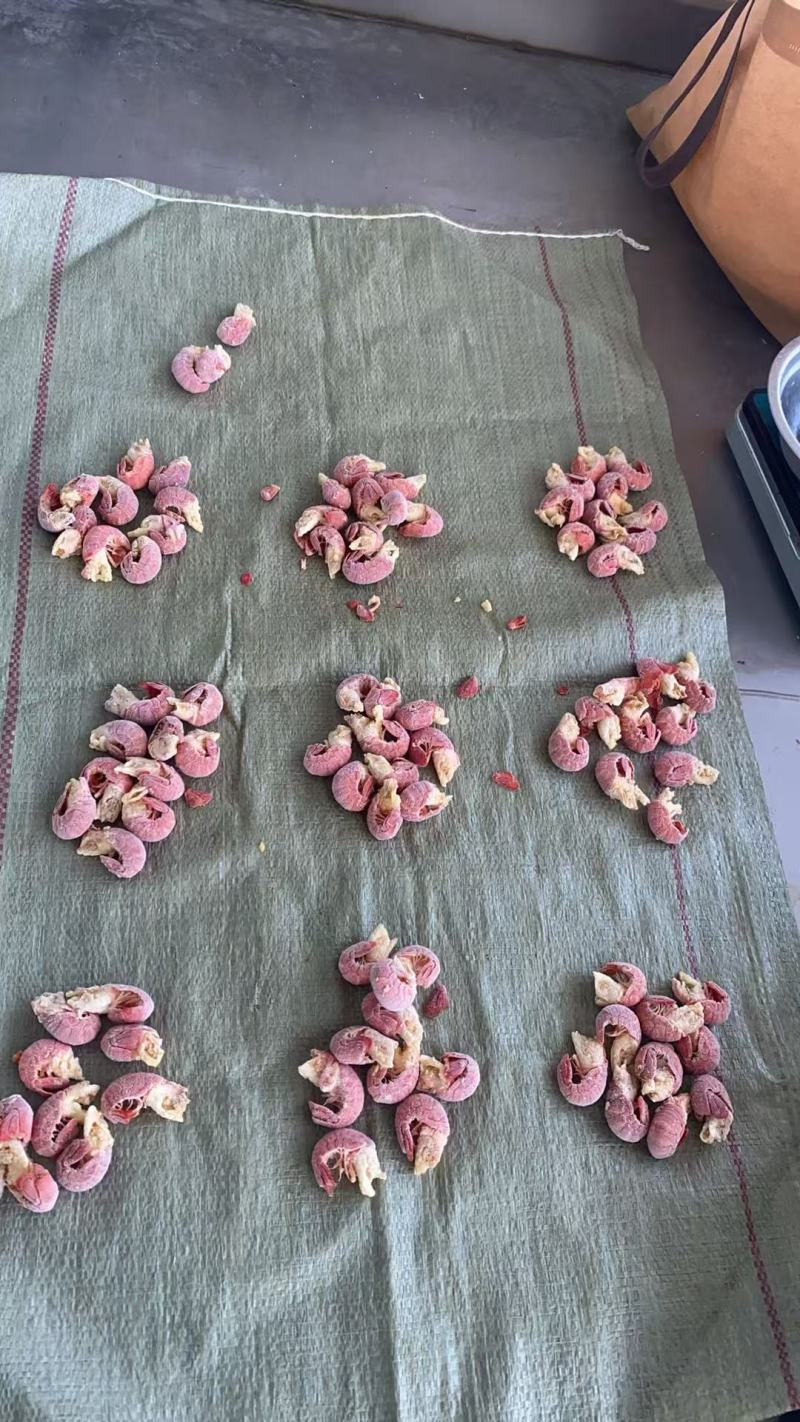干冰龙虾尾，龙虾尾，